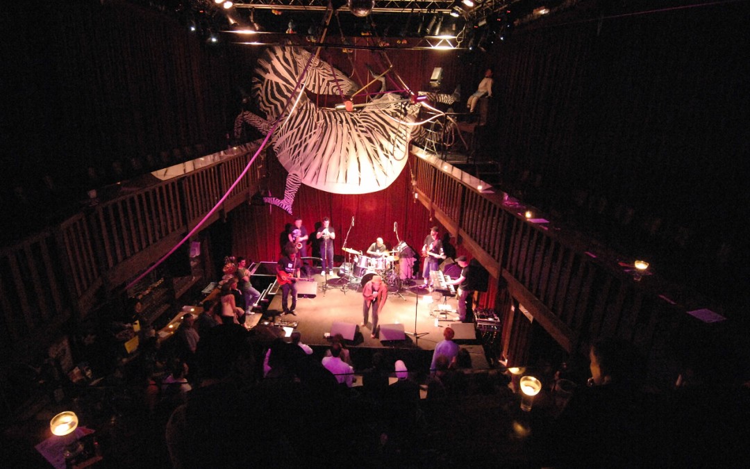 Zèbre de Belleville – Paris – 2008